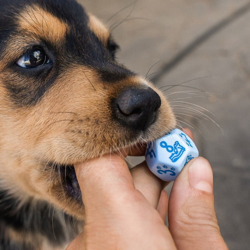 Set Dadi RPG DOGS Max Blu: Avventura Poliedrica con Simpatici Cuccioli